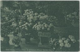 Praha Národní třída 24 květinářství G. Dittrich 1924