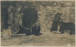 Praha Hradčany Jelení příkop medvědi 1924 Foto-Fon