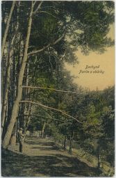 Bechyně obora obůrka myslivec Tábor nakl. Souhrada 1909