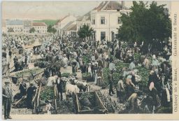 Bzenec Hodonín okurkový trh nakl. Skála 1912