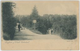 Mladá Boleslav městské sady nakl. Nešněr 1899
