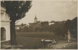 Šumava Radomyšl Strakonice celkový pohled s kravkou