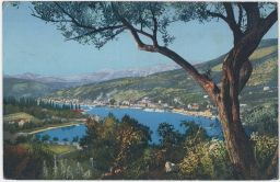 Jugoslávie Chorvatsko Croatia Gravosa Gruž sa stablom od masline 1912