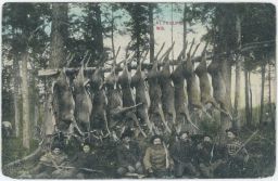 USA Wisconsin at Phillips hon na jeleny "Pozdrav matce z amerických pralesů"