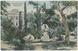 USA Arizona Phoenix The Cactus Garden