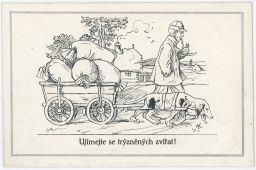 Ujímejte se trýzněných zvířat Plzeň Spolek pro ochranu zvířat