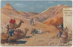 Egypt velbloudi odpočinek na poušti
