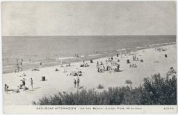 USA Michigan pláž / Saturday Afternoon On the Beach