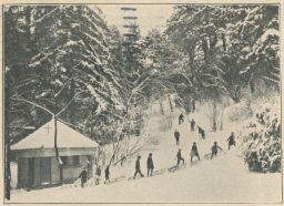 Brno Královo Pole mrzáčci zimní radosti sáňkování 1928