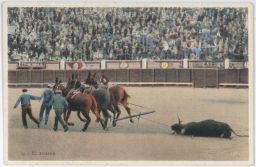 Španělsko Corrida býk toreadoři