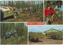 Pozdrav z chmelu chmelnice traktor