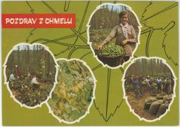 Pozdrav z chmelu chmel pivo okénka ve tvaru šišky 1972