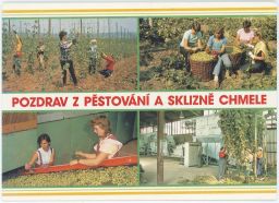 Pozdrav z pěstování a sklizně chmele chmelnice pivo věrtele kombajn