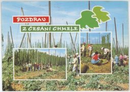 Pozdrav z česání chmele chmelnice žoky věrtele 1982