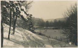 Koupaliště plovárna Včelné Rychnov nad Kněžnou v zimě