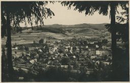 Hovězí Vsetín foto Bittner