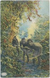 Etnografie Brazílie Indiáni luk šípy džungle 1913