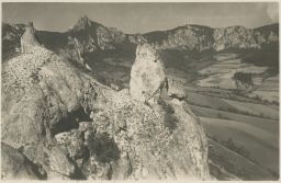 Sulovské skály velké 17x12 cm