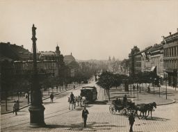 Końka v horní části Václavského náměstí, kolem 1890