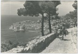 Jugoslávie SFRJ Chorvatsko Dubrovnik oslíci