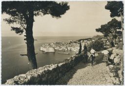 Jugoslávie SFRJ Chorvatsko Dubrovnik oslíci