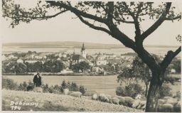 Dobřany Nové Hamry pasáček ovcí 1934