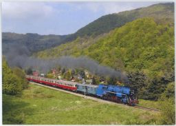 Železnice lokomotiva 477.013 Papoušek Děčín foto Holub