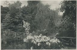 Poděbrady Japonská zahrádka Grafo Čuda 1935